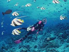 景点-秦皇岛乐岛海洋王国