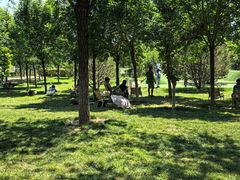 -爪吧宠物乐园 (温榆河示范区店)