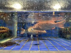 -外滩·云南人家(昆明旗舰店)