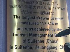 -通海俄式烧烤(下瓦房店)
