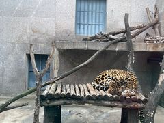 -西安秦岭野生动物园