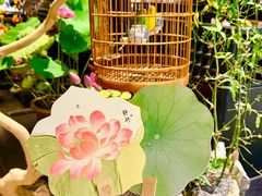 -淮扬府·游园京梦(北京SKP店)