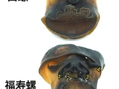 -眼镜味道(德才店)