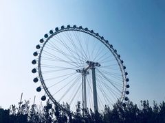 游乐设施-北京石景山游乐园