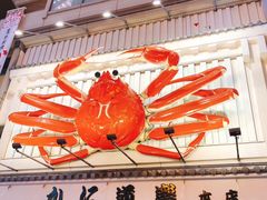 -蟹道乐(道顿堀本店)