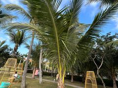 -三亚海棠湾万丽度假酒店