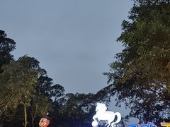 -广州长隆国际大马戏