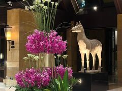 -三亚湾海居铂尔曼度假酒店