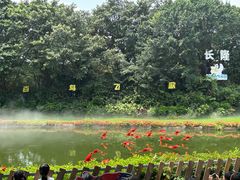 -广州长隆飞鸟乐园