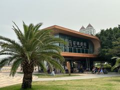 -爱情邮局
