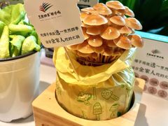 -烹然四季椰子鸡火锅(姚家园万象汇店)