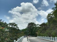 -深圳仙湖植物园
