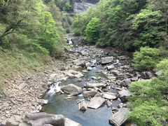 -黎坪国家森林公园