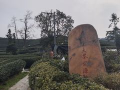 -龙坞茶村