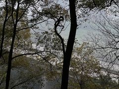 -道教老君洞
