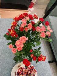 -静博士·养生养颜