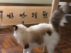 -默迹咖啡馆