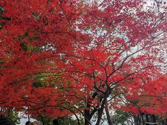 -西湖天地