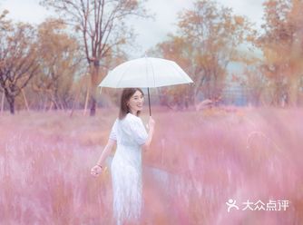 99%的不知道主城这个地方能拍粉黛乱子草