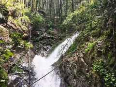 -大余丫山旅游度假区