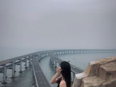-星海湾跨海大桥