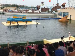 -秦皇岛乐岛海洋王国