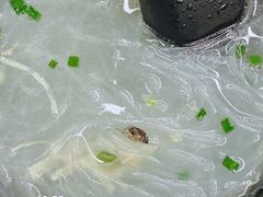 -上味馆南翔小笼(真金路店)