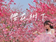 -天适樱花悠乐园