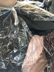 -小齐发型Star·Salon