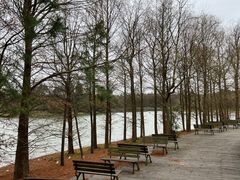 -上海海湾国家森林公园