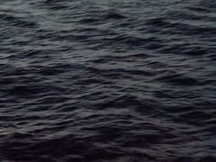 -澳门环岛游湾仔码头