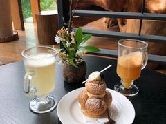 -逸廊大堂吧-下午茶·简餐-千岛湖自由洲际殿