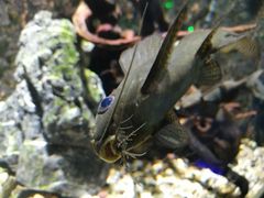 -石林冰雪海洋世界