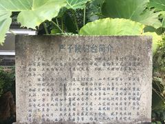 -严子陵钓台(富春江小三峡)