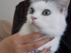 -怪兽屋·羊驼·猫咖·狗咖(俊华广场店)