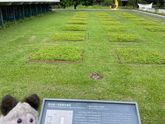 -南越王博物院(王宫展区)