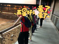 -元代水闸遗址博物馆