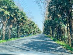 -上海海湾国家森林公园