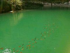 -山西通天峡景区