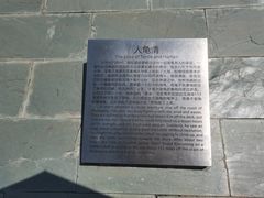 -广东惠东海龟国家级自然保护区