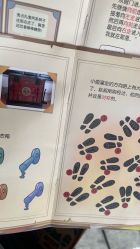 -魔法特工亲子游(永庆坊店)