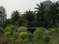 -上海港国际客运中心