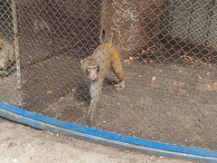 -森林公园(尖草坪区)