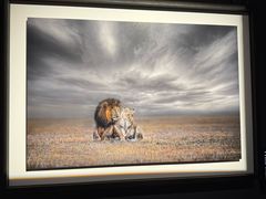 -罗红摄影艺术馆