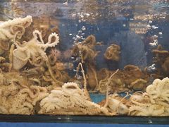 -大丰收海鲜地方菜馆