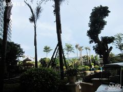 -抚仙湖万达文华酒店