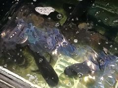 -精典一号民间菜