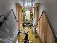 -邈墨茶馆(凤起路店)