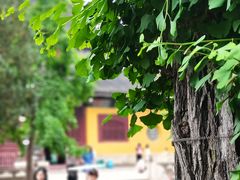 -西园戒幢律寺