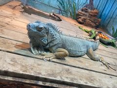 -石家庄市动物园